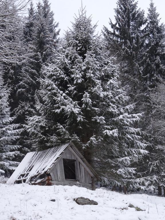 Vila Rojerhof Schladming Exteriér fotografie
